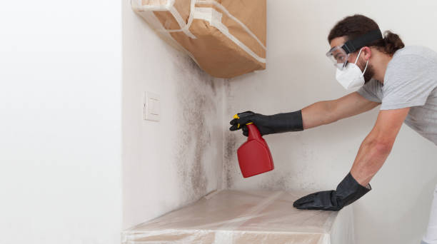 Professional Mold Remediation technician working in Sharpes, FL