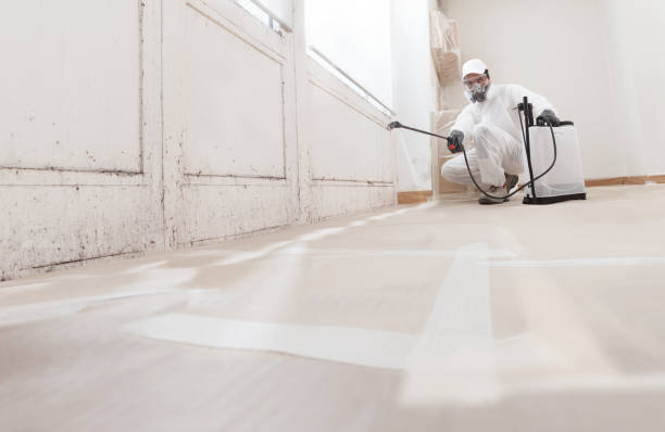 24/7 Emergency Mold Remediation experts in Sharpes, FL