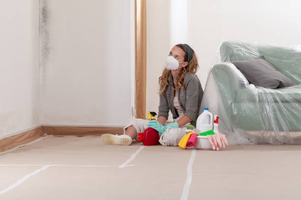 Reliable Mold Remediation contractor in Sharpes, FL by 24 Hour Mold Removal